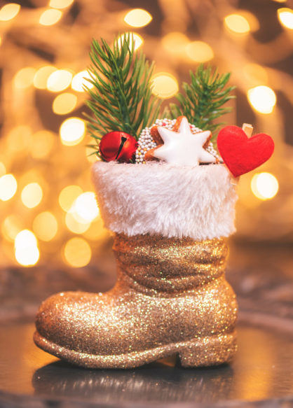 🎅🏻 EINEN FLEIßIGEN NIKOLAUS 🦌